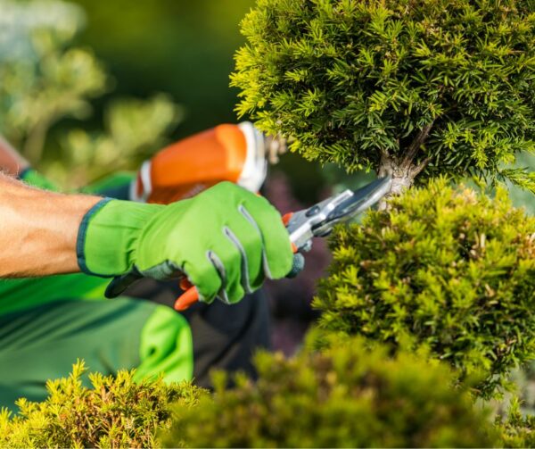 debroussaillage_souillac