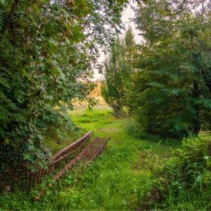 debroussaillage_souillac