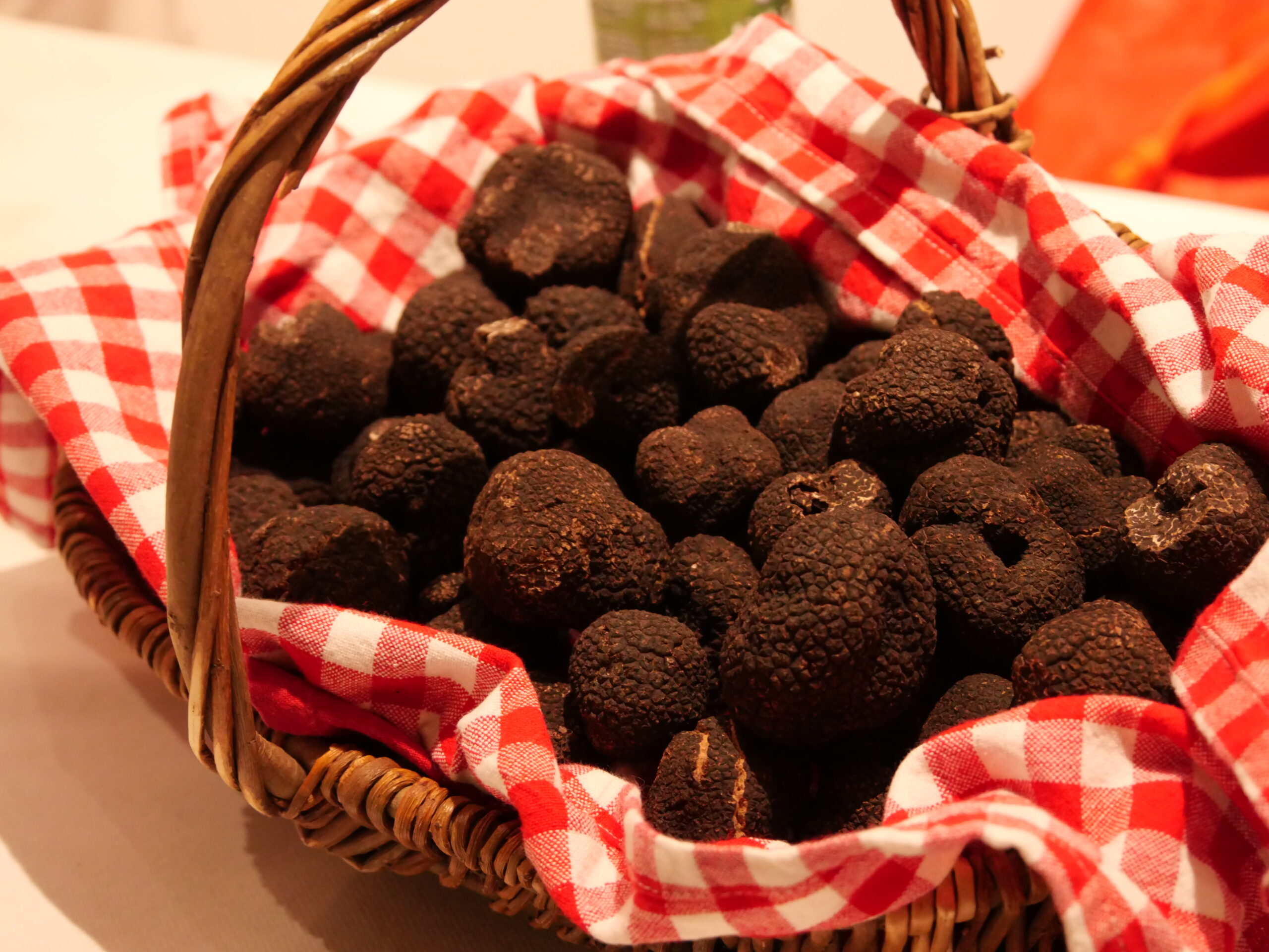 marche_truffes_2025