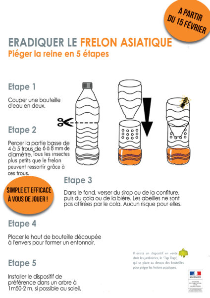 piege_frelon_souillac