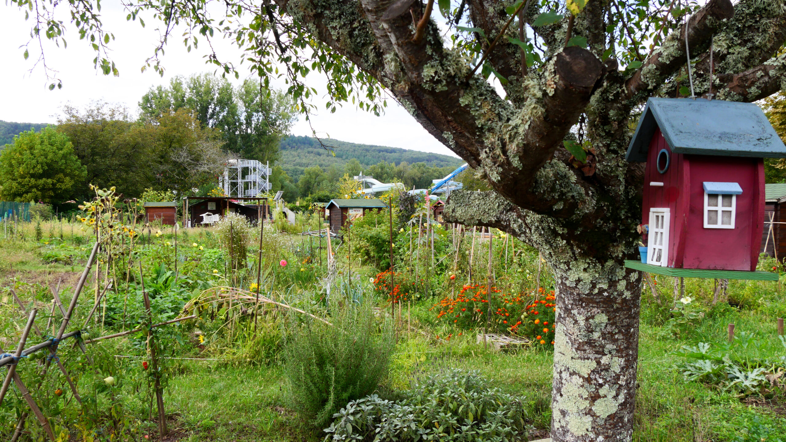 jardins_familiaux