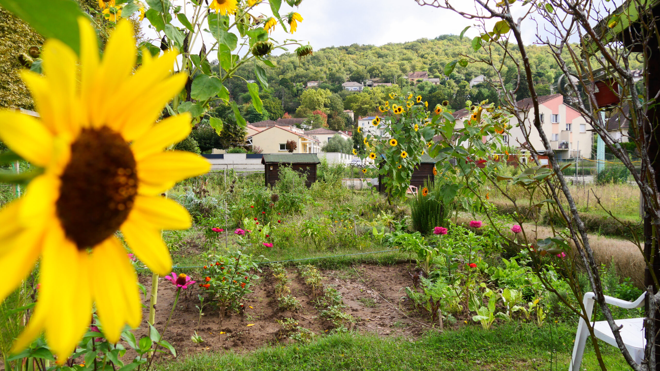 paella_des_jardiniers_souillac